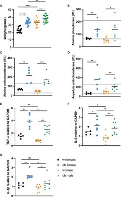 Obesity Enhances Disease Severity in Female Mice Following West Nile Virus Infection